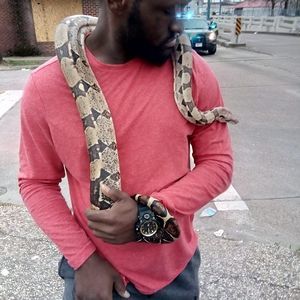 Meet your Posher, Cornelius